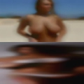 Naked women Sarasota